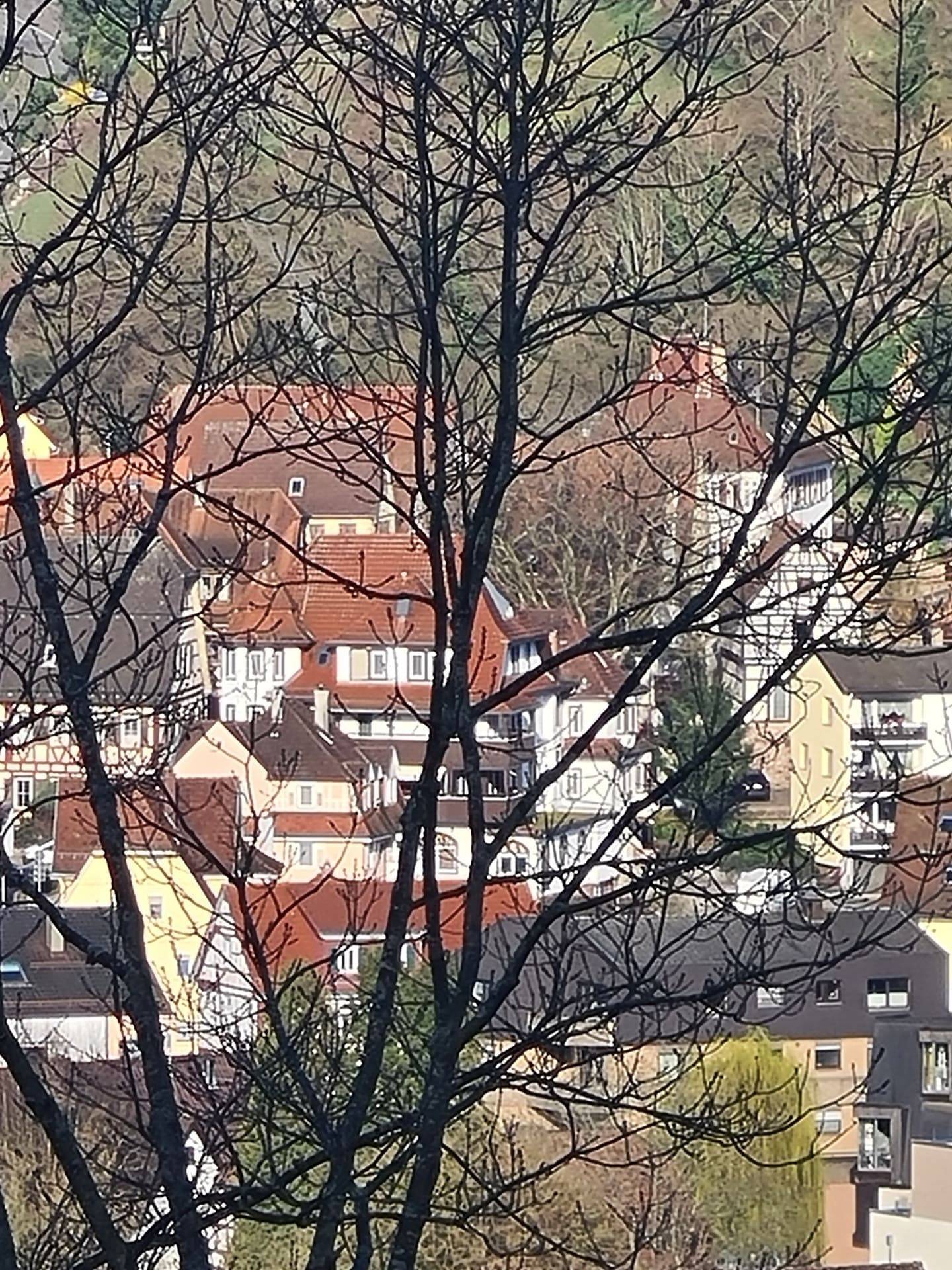 Monteurzimmer 2 Bed Appartement